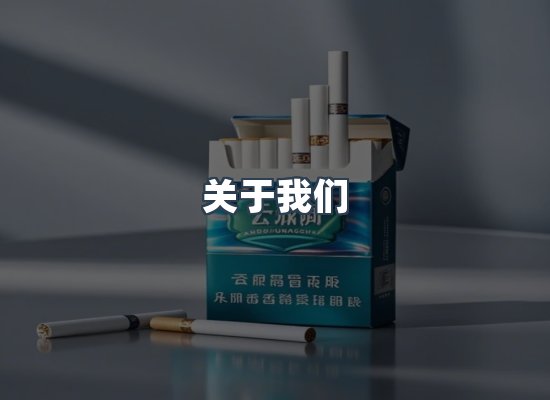 专业团队